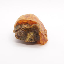 Load image into Gallery viewer, Amber Beach Stone 31.8 Grams